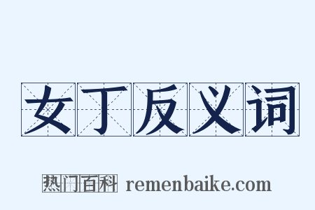 女丁反义词是什么意思的图片